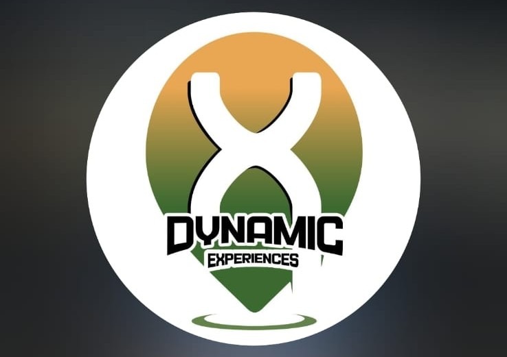 Dynamic Experience